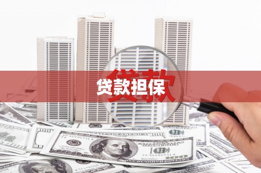 温宿贷款担保