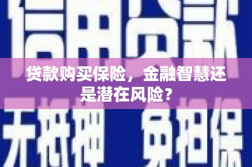 温宿贷款购买保险，金融智慧还是潜在风险？