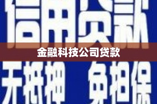 温宿金融科技公司贷款