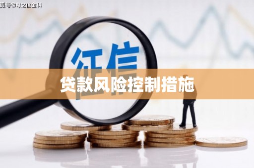 温宿贷款风险控制措施