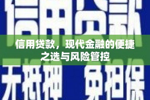 温宿信用贷款，现代金融的便捷之选与风险管控