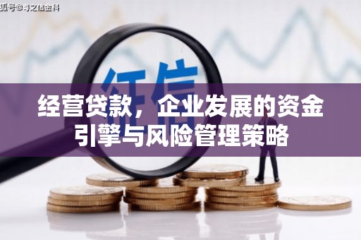 温宿经营贷款，企业发展的资金引擎与风险管理策略