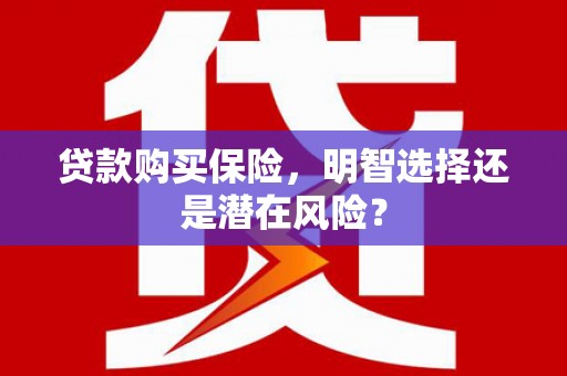 温宿贷款购买保险，明智选择还是潜在风险？