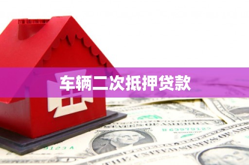 温宿车辆二次抵押贷款