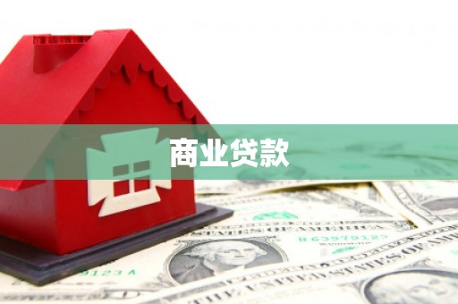 温宿商业贷款