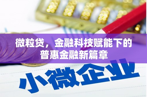 温宿微粒贷，金融科技赋能下的普惠金融新篇章