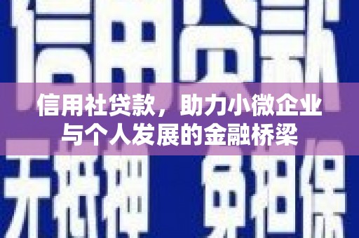 温宿信用社贷款，助力小微企业与个人发展的金融桥梁