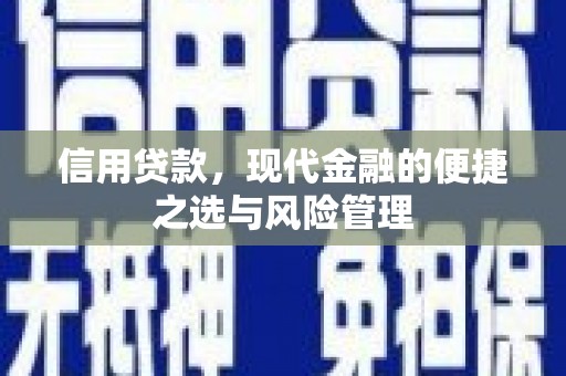 温宿信用贷款，现代金融的便捷之选与风险管理
