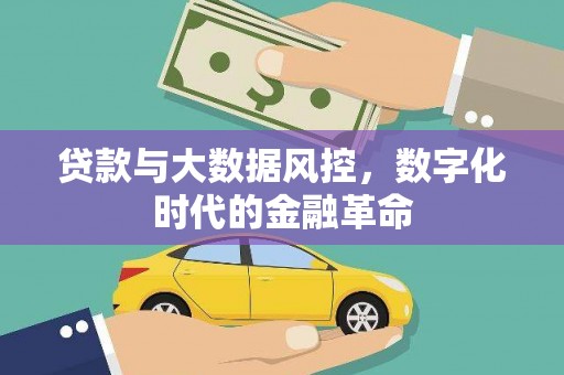 温宿贷款与大数据风控，数字化时代的金融革命