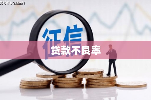 温宿贷款不良率