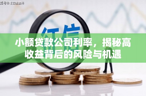 温宿小额贷款公司利率，揭秘高收益背后的风险与机遇