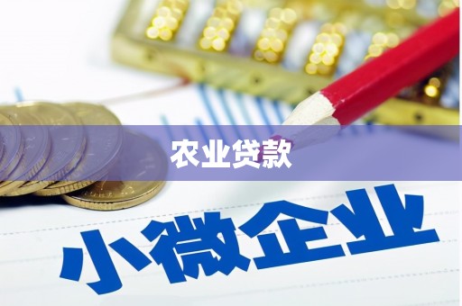 温宿农业贷款