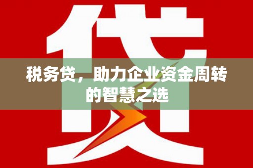温宿税务贷，助力企业资金周转的智慧之选