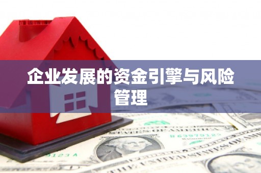 温宿企业发展的资金引擎与风险管理