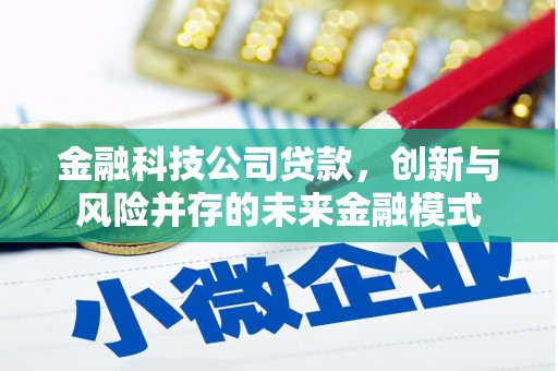 温宿金融科技公司贷款，创新与风险并存的未来金融模式