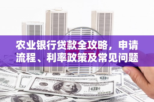 温宿农业银行贷款全攻略，申请流程、利率政策及常见问题解析