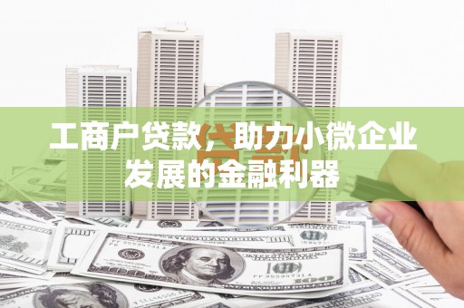温宿工商户贷款，助力小微企业发展的金融利器