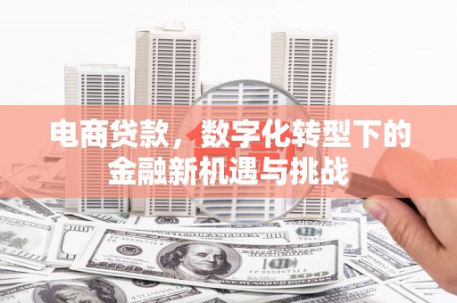 温宿电商贷款，数字化转型下的金融新机遇与挑战