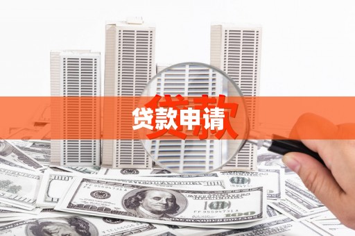 温宿贷款申请