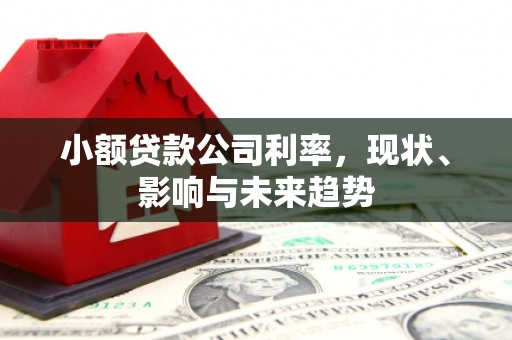 温宿小额贷款公司利率，现状、影响与未来趋势
