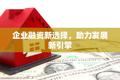温宿企业融资新选择，助力发展新引擎
