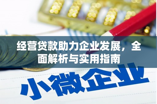 温宿经营贷款助力企业发展，全面解析与实用指南
