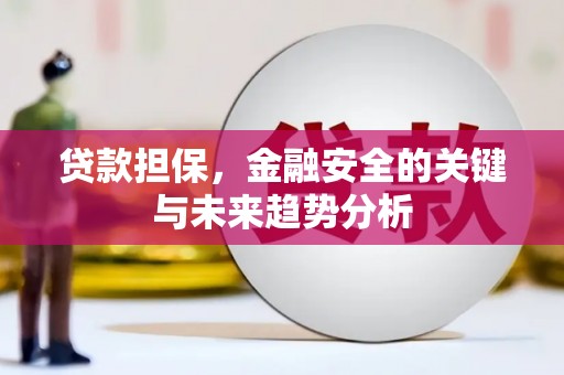 温宿贷款担保，金融安全的关键与未来趋势分析