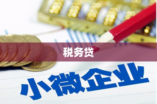 温宿税务贷