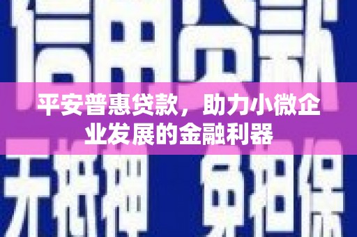 温宿平安普惠贷款，助力小微企业发展的金融利器