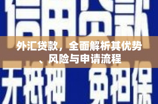 温宿外汇贷款，全面解析其优势、风险与申请流程