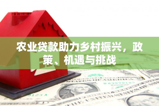 温宿农业贷款助力乡村振兴，政策、机遇与挑战