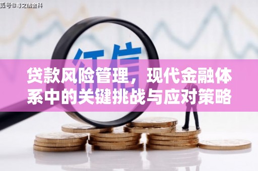 温宿贷款风险管理，现代金融体系中的关键挑战与应对策略