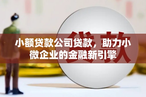温宿小额贷款公司贷款，助力小微企业的金融新引擎