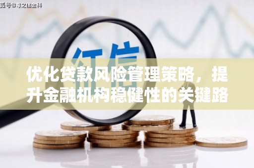 温宿优化贷款风险管理策略，提升金融机构稳健性的关键路径