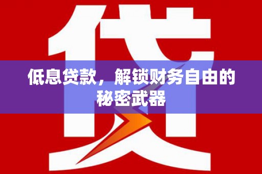 温宿低息贷款，解锁财务自由的秘密武器
