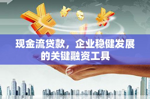 温宿现金流贷款，企业稳健发展的关键融资工具