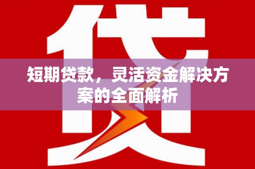 温宿短期贷款，灵活资金解决方案的全面解析