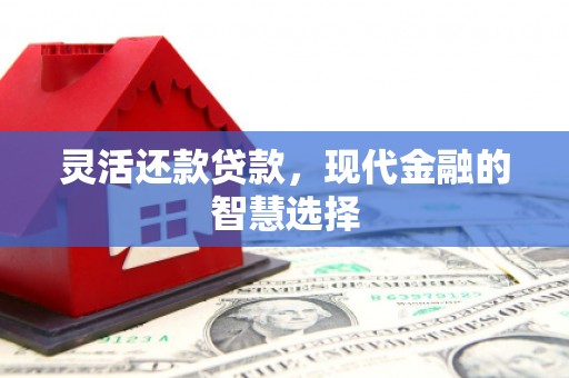 温宿灵活还款贷款，现代金融的智慧选择