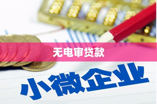温宿无电审贷款