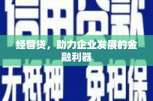 温宿经营贷，助力企业发展的金融利器