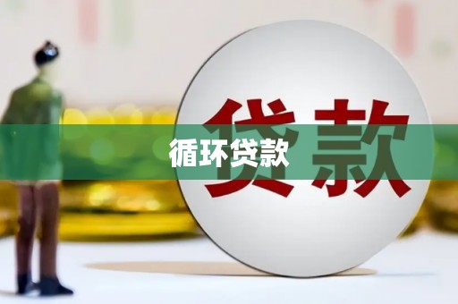 温宿循环贷款