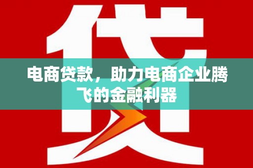 温宿电商贷款，助力电商企业腾飞的金融利器