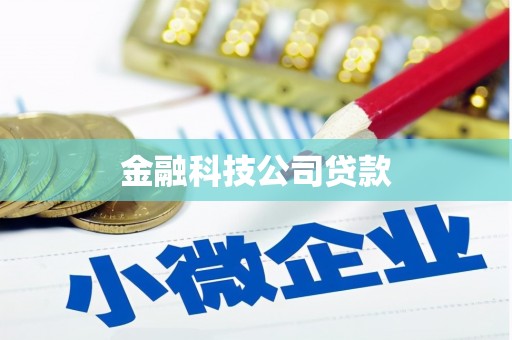 温宿金融科技公司贷款