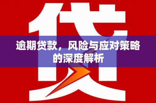 温宿逾期贷款，风险与应对策略的深度解析