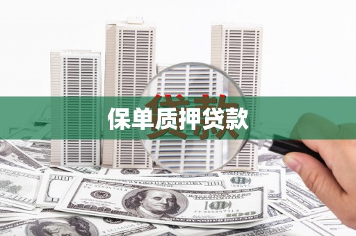 温宿保单质押贷款