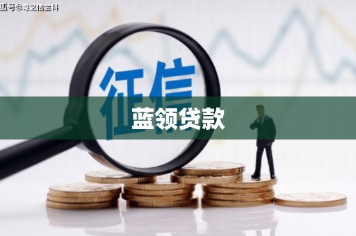 温宿蓝领贷款