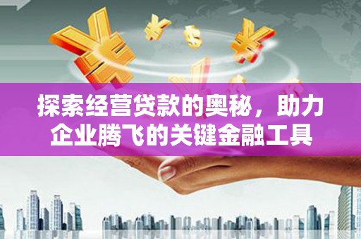 温宿探索经营贷款的奥秘，助力企业腾飞的关键金融工具