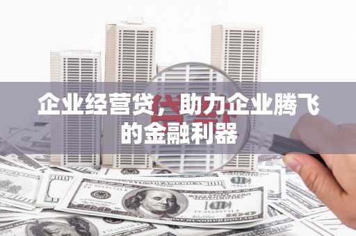 温宿企业经营贷，助力企业腾飞的金融利器