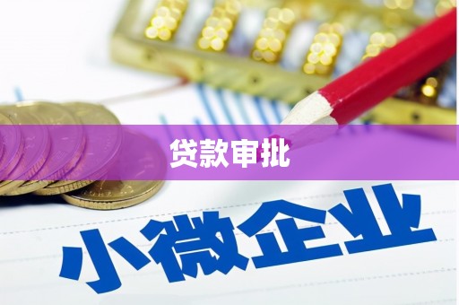 温宿贷款审批