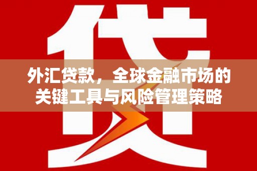 温宿外汇贷款，全球金融市场的关键工具与风险管理策略